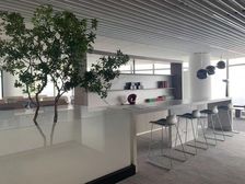 6个月免租,拎包入住,方大城2000平豪装,看塘朗山近侨城坊