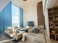 海逸豪庭御峰豪装大独栋大花园景观无遮挡