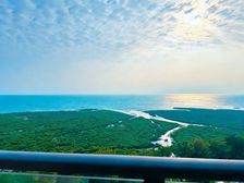 中信国安 大三房 户型好 捡漏!价 可看海 观红树林 5级景