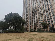 中南世纪城精装四房 南北通透高层 满二仅180万