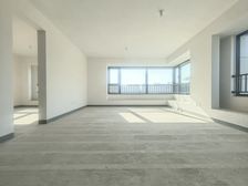 龙湖天街西侧 品质次新洋房 转角大飘窗 采光视野双佳!