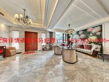 铜雀台稀缺精装联排!400㎡+200平大花园,双湖板块珍藏墅