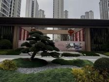 城发新时代,白马山和实验中雪双书包。105-135平现房尾盘
