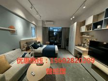 【70年产权公寓】神湾时代南湾北岸【可自主托管】全新精装公寓