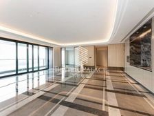 高区南向一线江景房丨开发商精装交付全新未住丨一梯一户送双车位