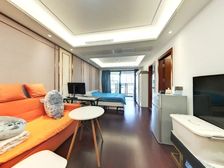 口岸住宅 岭秀城壹号 47平1居 南向精装修 拎包入住