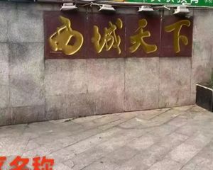 急93万仅契税近地铁可按揭!西城天下25