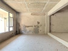 众和东苑 5室3厅 384平双拼别墅