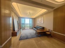 豪宅景观楼层看陆家嘴三件套,带产权车位,诚心出售,双地铁