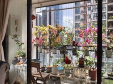 新北 南埗市场全新未入住笋盘 丽清花园 带家私和车位