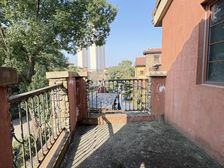 龙岛玖号双拼别墅 三面花园 有露台 户型 (没有地下室)