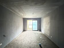 南湖畔 8号线地铁 金地广场 金地天锦三室 采光好视野好急售