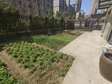 100平一单门独户带大院子!绿地中央学府毛坯大四房