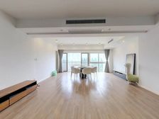 安福路金苑正看梧桐风貌全景