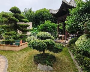 艾溪湖畔!浪琴湾独栋别墅 1000平院子 500多平地下室