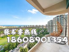 免费接送来电看房!外省能买,墅级平层一线海景房,精装即住