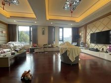 免个税+人车分流+金地上叠+C位置5房设计+精装全送急卖