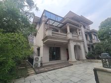 新区王城大道旁。碧桂园天誉,260平方,双拼别墅,精装修,