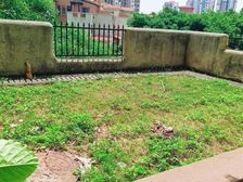 一套单价5283元带两个私家花园招商卡达凯斯边套3房