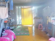 翡翠半岛馨园 带电梯 楼龄新 正南朝向 满二 正规商品房
