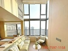 昌岗地铁站 人流旺地 稳租4800 可商可居 拎包入住