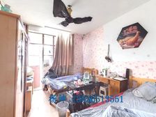 田林十二村2居48.58平南朝向视野开阔全明采光好