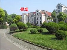 9房!没路冲!超大花园!近4百万精装!小区正中芯!近国展
