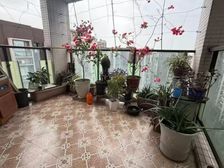 二手房0中介费资产处置收1%(可改套三顶楼)不包含屋内物品