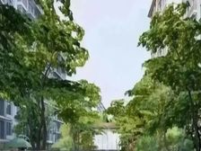 璟上兰园现房精装修免费车位拎包入住南北朝向电梯房