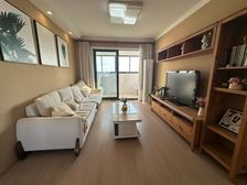 房东自住精装 漕河泾15年次新小区 南北户型 厅南北通 急售
