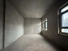 美墅金岛顶奢别墅 大独栋别墅 大院 仅一套