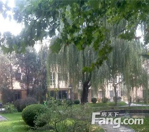 丽京花园公寓2室1厅1卫东南朝向14000.00元/月出租
