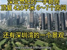 华侨城稀缺户型420平顶复,大气中空客,额外反30-50万