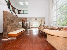 朝南挑高客厅,全景落地窗,25米面宽采光,占地一亩