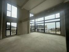 专业做海信!四代洋房跃层一楼带院!南北院!6.4 挑空客厅!