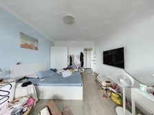 新出高区双南户型,采光视野好,能看江景。