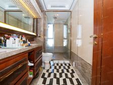 顶复带露台,黄浦江景,带双车位,次新品质小区