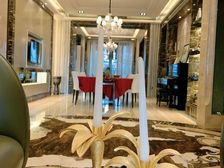 臻房南宁豪宅繁华金融中心幸福里395平朝南看青秀山6房出售