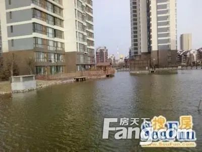 实景图