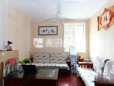 新,茶园山,杨桥中,总价低,框架大两房,楼层好,东南全明