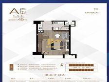 高新宝龙(特价房源)豪装交付近地铁配套成熟可送家电