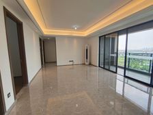 一线江景,甲A级远低市价,物业,现房,双