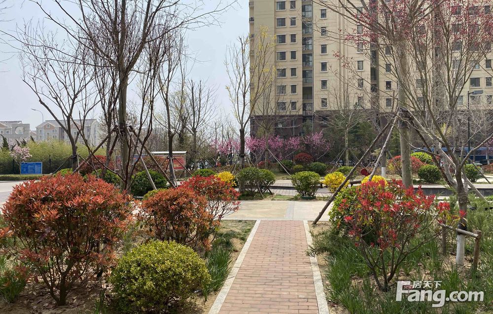 自在香滨一期现房82平两室精装修13楼可看海拎包住十里河曙光旁