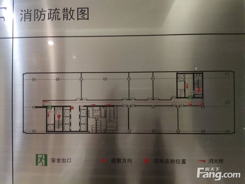 平面图