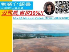 山頂 南区豪宅 君临气势 公司房税0.2% !低税购香港房