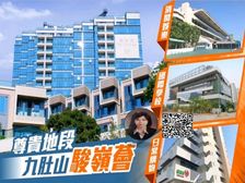 沙田 九肚山顶生活圈 全新豪宅 !低税购香港房 人无我有