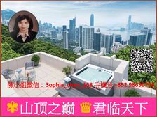 山顶 全新维港海景董事屋 山顶之巅 世家大族天下