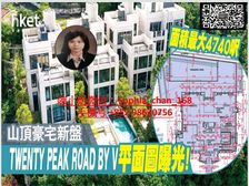 山顶 维港海景董事屋 高端资产 收藏价值 公司房税0.2%