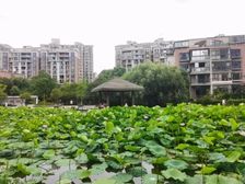 艺泰安邦 120.05平3居 南向简装修