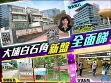 大埔白石角 先租后买 拥抱吐露港海景! 低税购香港房